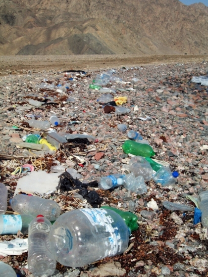 Plastic trash, mostly bottles, washed up on the shore of Nabq Protected Area - just 10 km south of Dahab.
